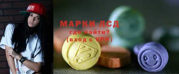 индика Сосновка